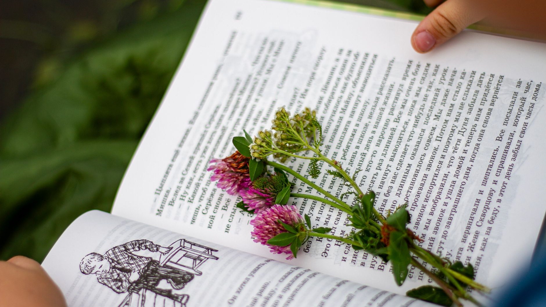 Детские руки держат раскрытую книгу с плотным текстом, на странице веточки клевера