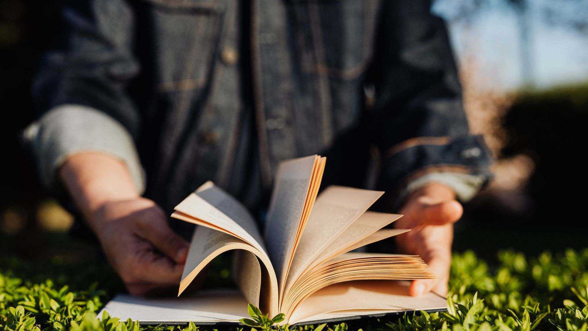 Книга на траве летом