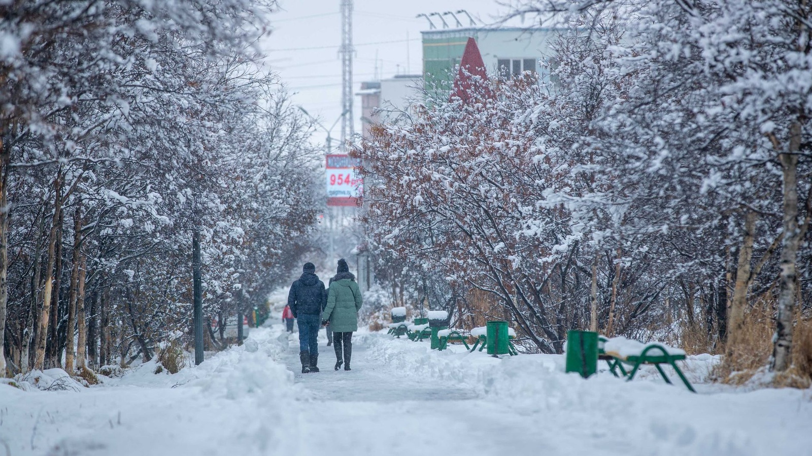Прогулка по заснеженной парковой дорожке