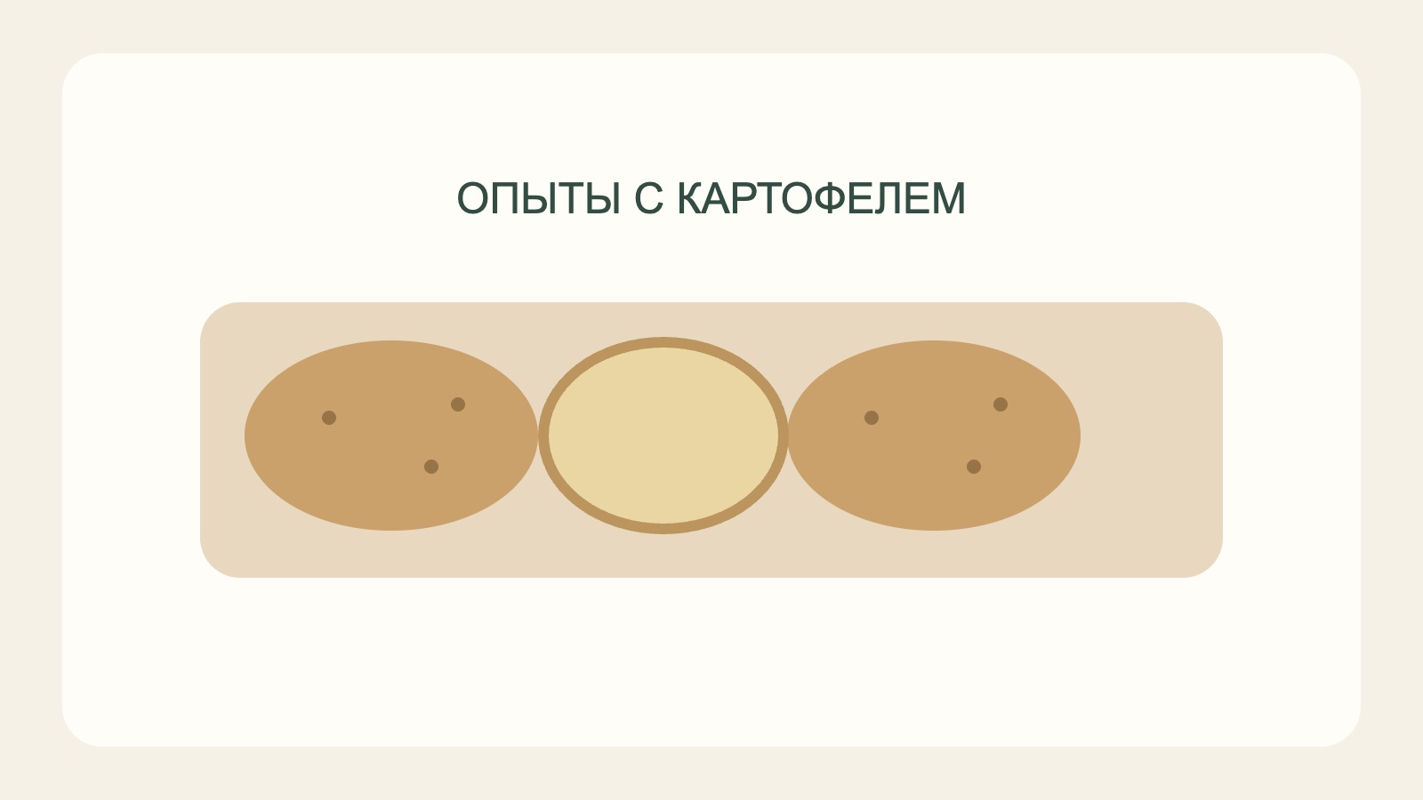 Картофелины и срез для домашних опытов.