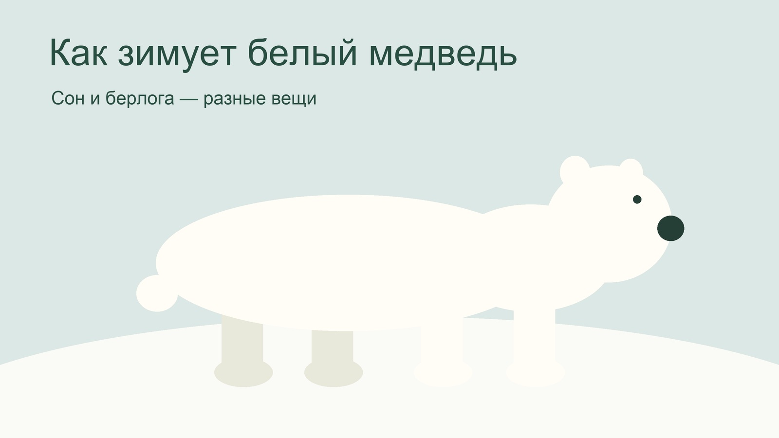 Белый медведь зимой